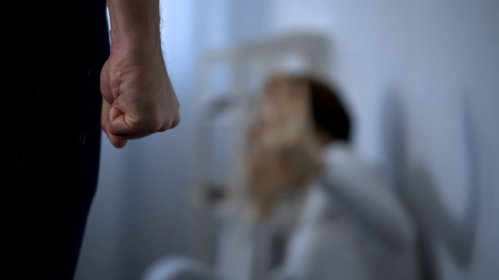 Comissão debate programa de capacitação para enfrentamento da violência contra mulheres e meninas