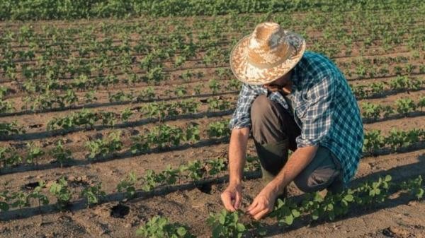 Sorriso: Vereadora pede centro de capacitação em agricultura familiar