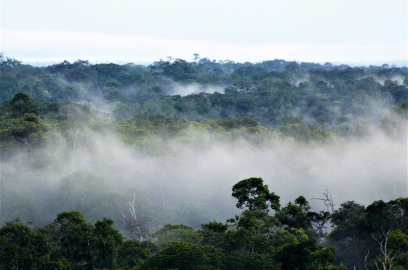 Comissão de Meio Ambiente debate estratégia internacional para conter mudanças climáticas