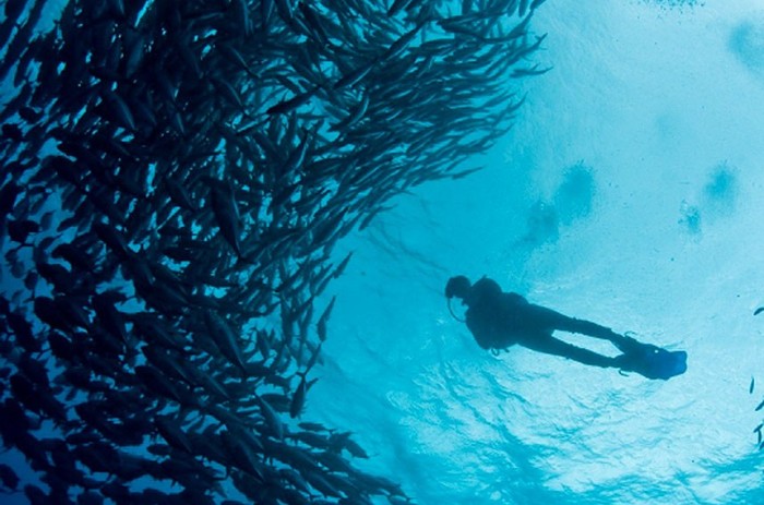 Arraial do Cabo (RJ) é oficializada como Capital Nacional do Mergulho