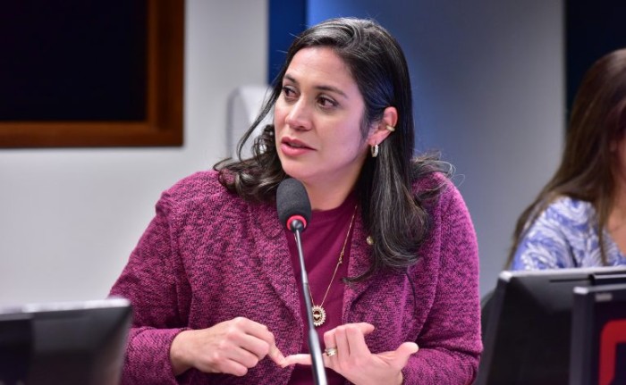 Comissão vai debater cobertura vacinal nas Américas com diretor da Opas