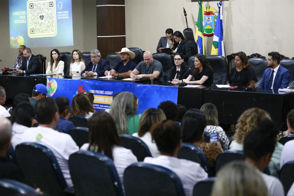 Audiência debate emendas parlamentares destinadas às pessoas com TEA