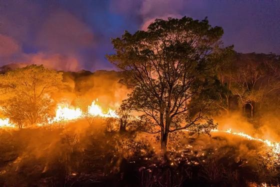 Governo decreta emergência ambiental para intensificar combate aos incêndios florestais