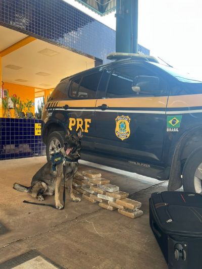 PRF apreende 26 kg de maconha sendo transportada em ônibus que saiu de VG com destino a Goiânia 