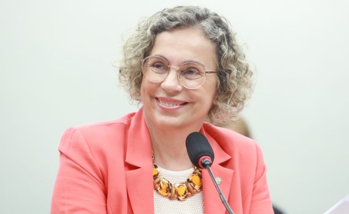 Debatedores pedem inclusão de emendas na LDO para combater violência contra crianças e adolescentes