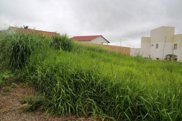 Vereador quer intensificar fiscalização de terrenos baldios em Sorriso