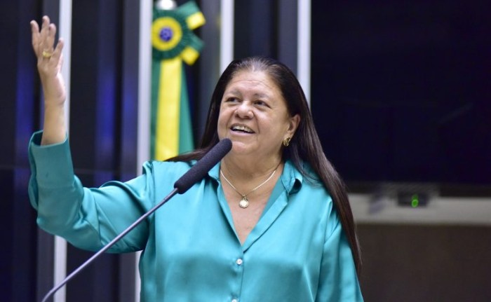 Comissão aprova projeto que prevê nova atribuição para conselhos tutelares