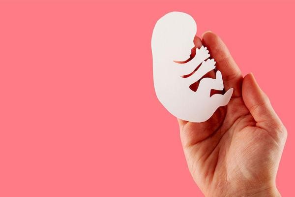 Câmara aprova em 3ª votação, PL que proíbe campanhas ou manifestações que incentivem o aborto