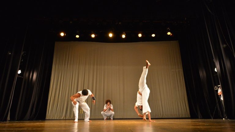 Comissão do Esporte debate com especialistas os benefícios da capoeira para a qualidade de vida