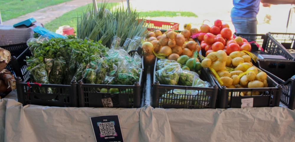 Última Feira da Agricultura Familiar do ano será nesta quinta-feira 