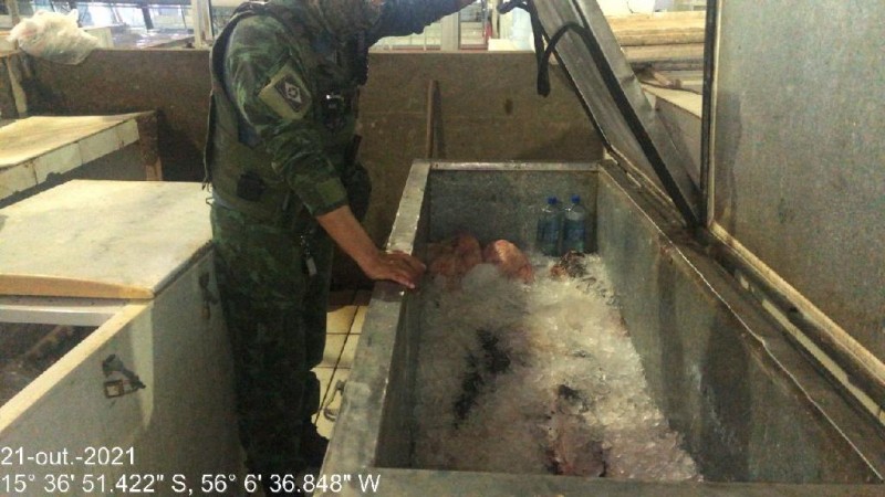 PM Ambiental apreende 350 kg de pescado ilegal na Feira do Porto