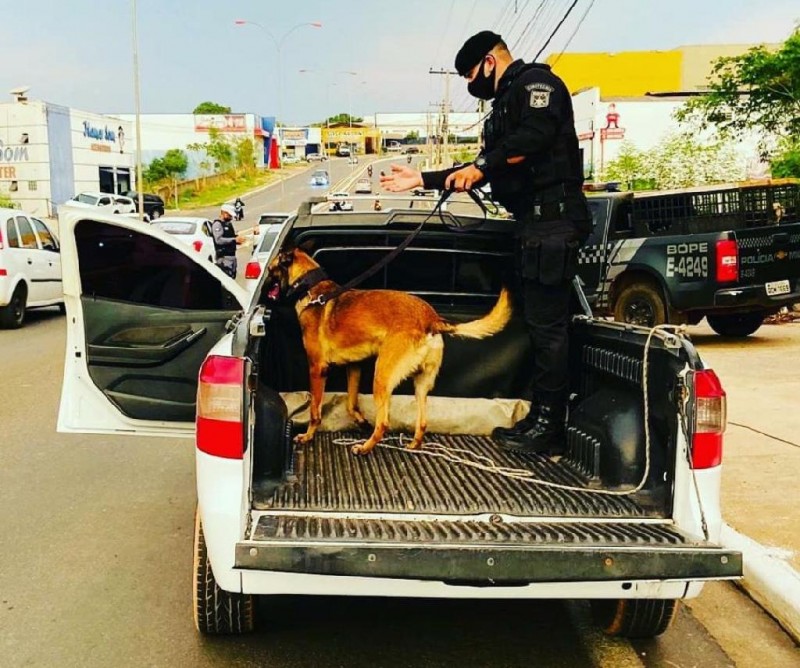 Curso para uso de cães em operações Bope começa nesta segunda-feira (25)