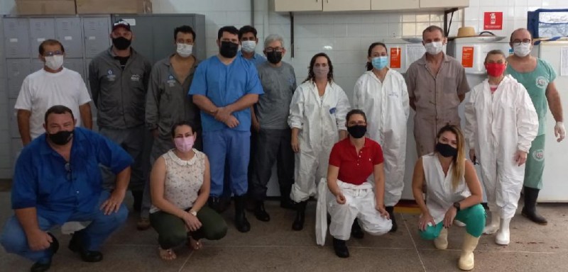 Indea capacita médicos veterinários em diagnóstico de síndromes hemorrágicas de suínos