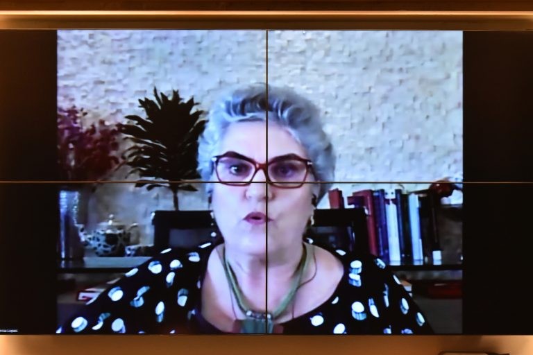Participantes de audiência criticam Auxílio Brasil, programa que substitui o Bolsa Família