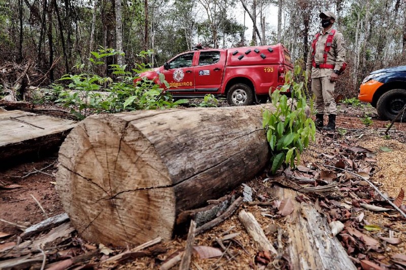 Corpo de Bombeiros deflagra operação Abafa Araguaia para combater o desmatamento em seis municípios de MT