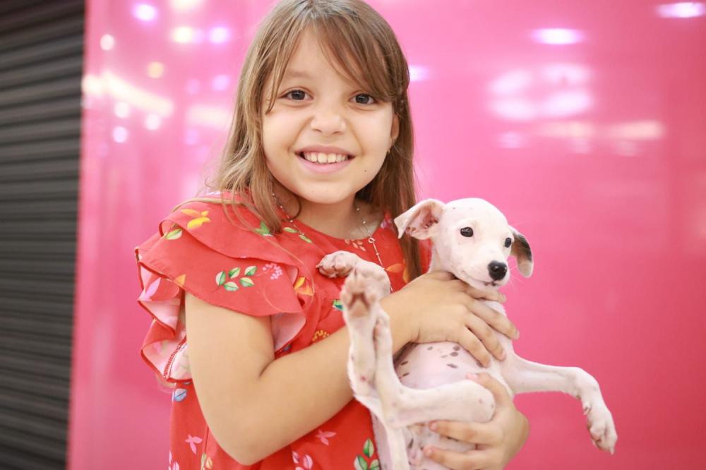 Animais vítimas de maus-tratos são adotados durante feira de adoção realizada no Shopping 3 Américas
