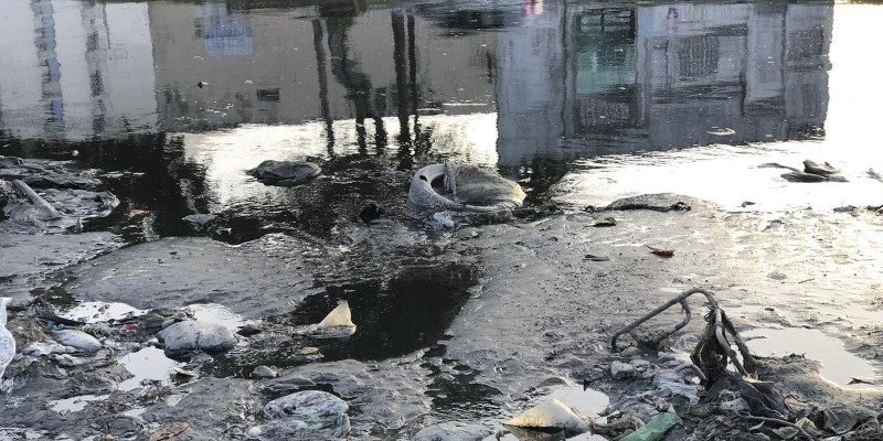 Esquistossomose: pesquisa indica possibilidade de produção de vacina