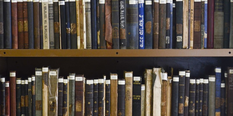 Dia do Livro: conheças as principais bibliotecas públicas de São Paulo