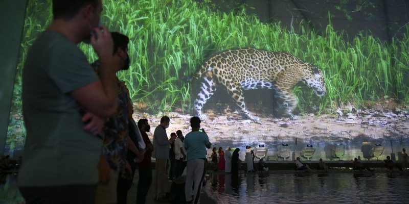 Pavilhão Brasil na Expo Dubai já recebeu 233 mil visitantes