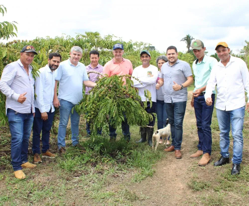 Acafemat entra com tecnologia e desenvolvimento para impulsionar a cadeia do café em Mato Grosso