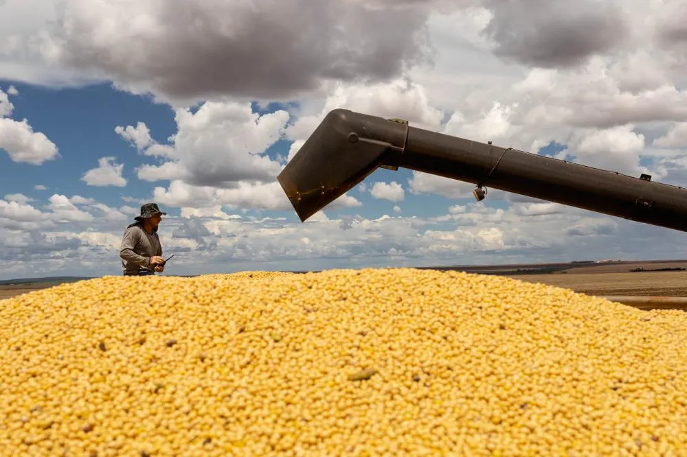 MP que restringe uso de créditos tributários reduz renda do produtor e provoca insegurança jurídica, diz Aprosoja-MT