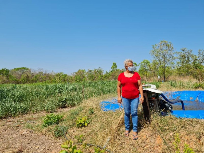 Ações da Empaer impulsionam produção de leite e agricultora familiar se torna referência na Baixada Cuiabana