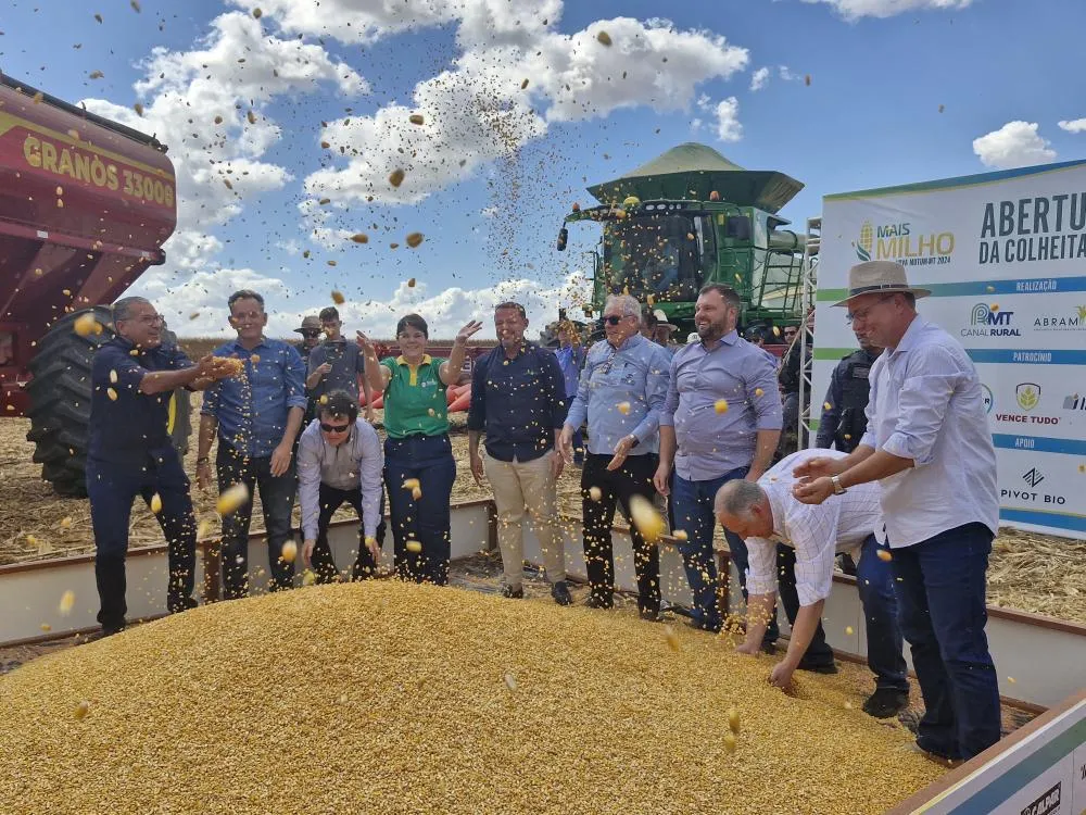 Milho consolidou segunda safra em MT, diz Vice-presidente da Aprosoja-MT