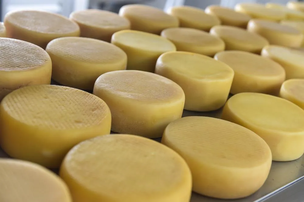 Inscrições para 1º Concurso do Queijo de Mato Grosso começam nesta quarta-feira 