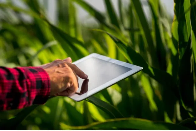 Saiba qual evento reunirá maiores nomes do marketing no agro nacional de 2024