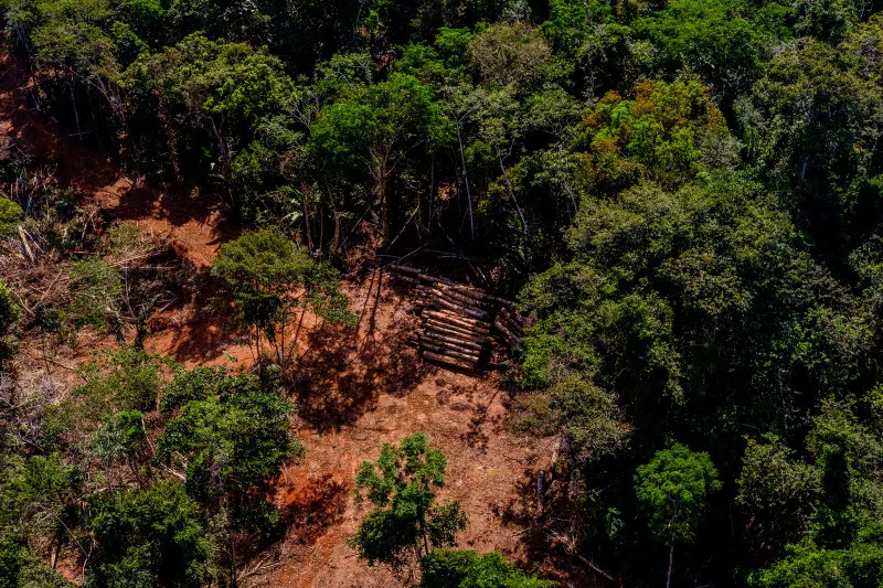 Projeto de lei aprovado na ALMT incentiva desmatamento em Reserva Legal