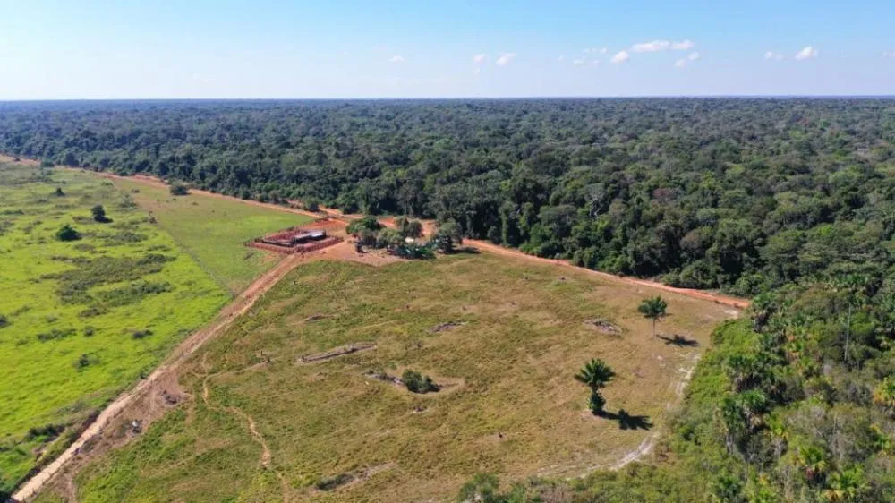Justiça Federal suspende embargos lavrados pelo Ibama contra propriedade rural de MT