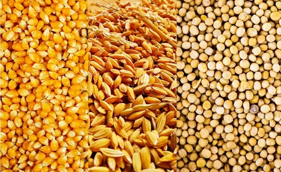 Aumentam os rumores e evidências que a Flowinvesti pode estar por trás da Trama do Grupo Safras