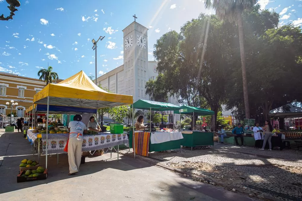 Prefeitura de Cuiabá fortalece feirantes e reconhece feiras livres como patrimônio cultural imaterial