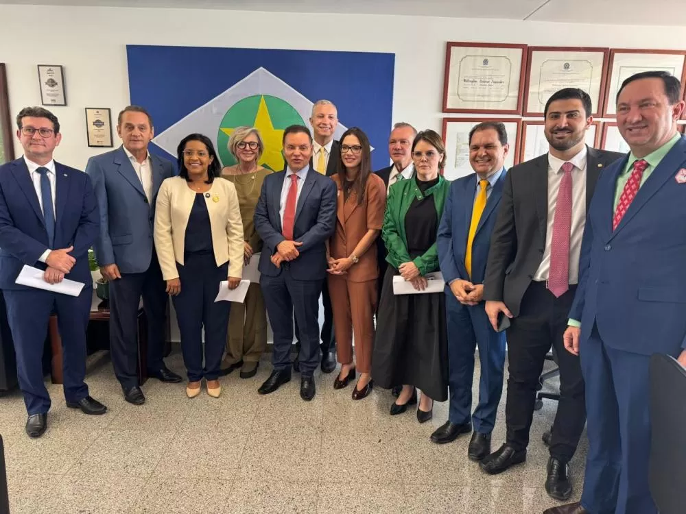 Deputados estaduais e bancada federal discutem futuro do fornecimento de energia em MT