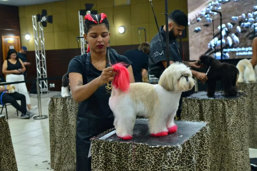 Pantanal Groom Competition: o maior evento de estética animal do centro-oeste chega com muito estilo