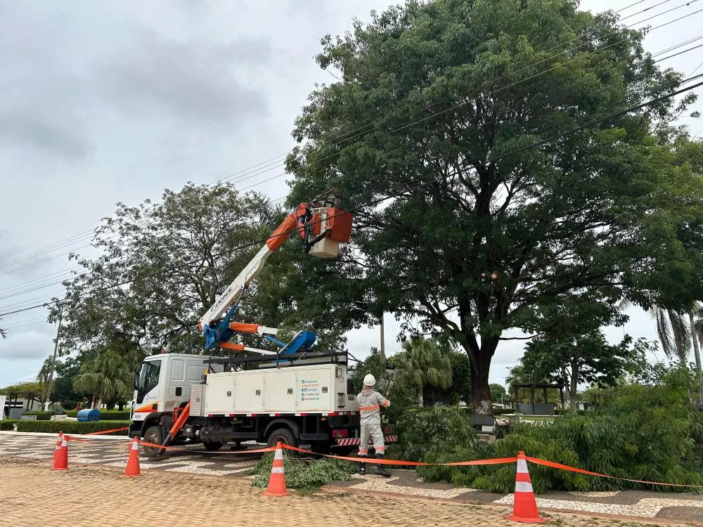 Podas preventivas evitam acidentes e garantem segurança na rede elétrica