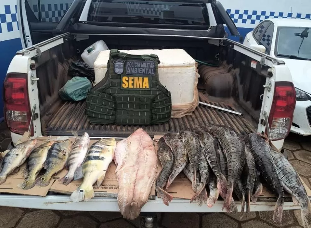 Sema e PM apreendem cerca de 70 quilos de pescado irregular nos últimos quatro dias