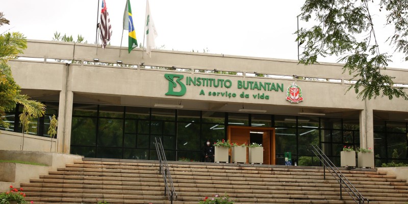 Pesquisa mapeia entrada e disseminação da variante delta no Brasil