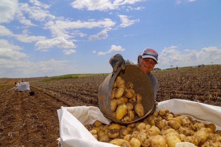 Audiência debate importância do censo agropecuário na próxima quinta