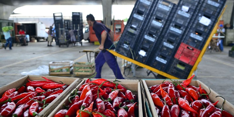Mapa: 89% dos vegetais comercializados são seguros para consumo