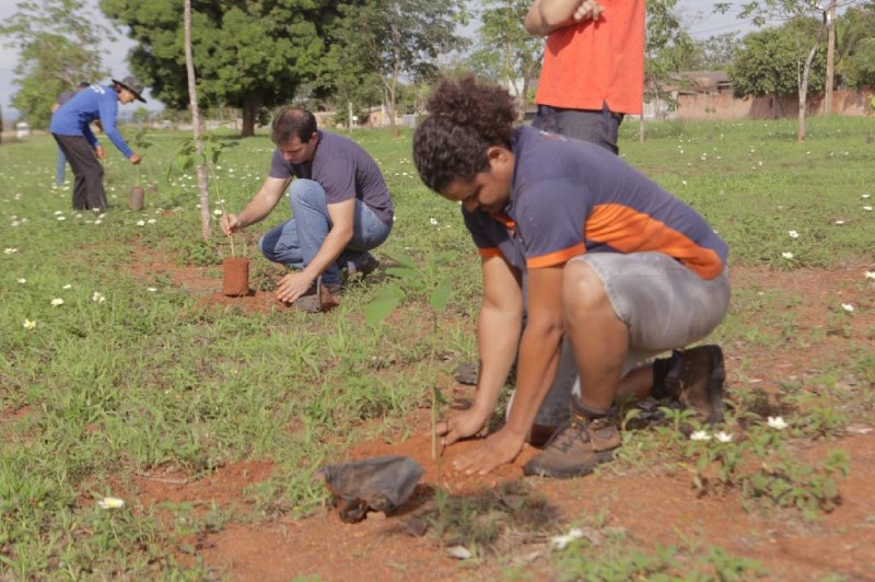 Sema-MT planta 1.700 mudas de árvores em homenagem às vítimas da Covid-19