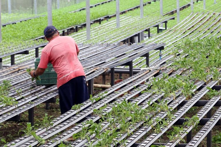 Comissão debate projeto que moderniza concessão de crédito rural