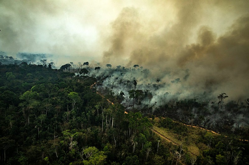 CMA votará alterações na política nacional de combate e prevenção a incêndios florestais