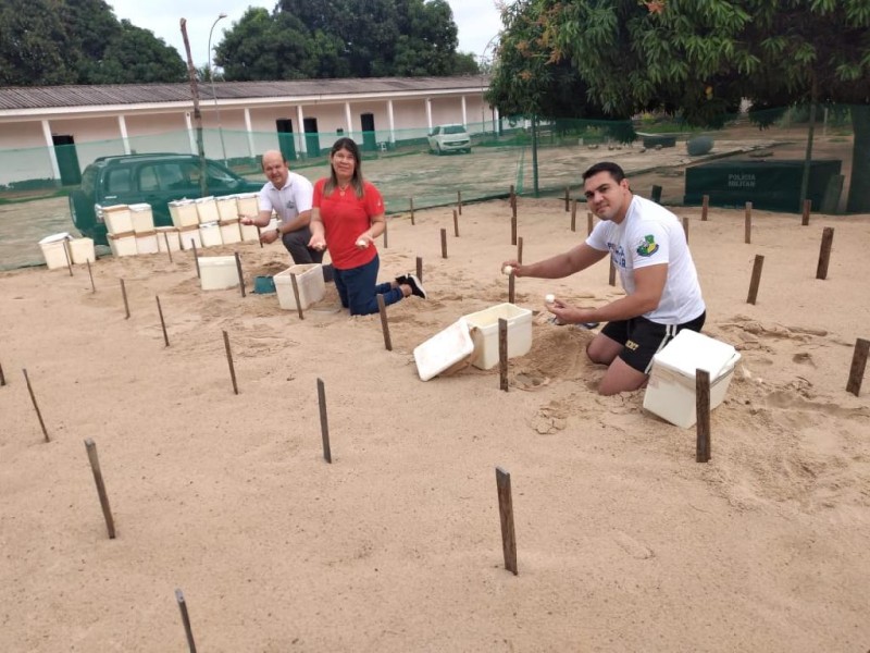 Mais de 200 mil tartarugas já foram soltas no Araguaia pelo projeto "Amigos da Natureza"