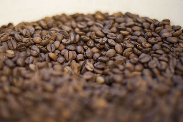 Cancelado debate com ministra da Agricultura regulamento para café torrado