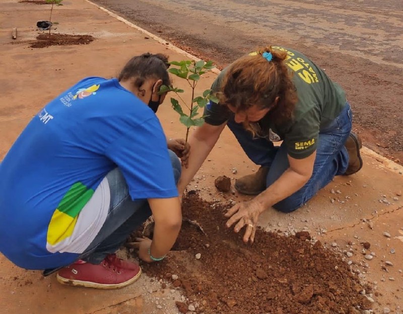 Projeto promove revitalização e urbanização do córrego Águas Claras