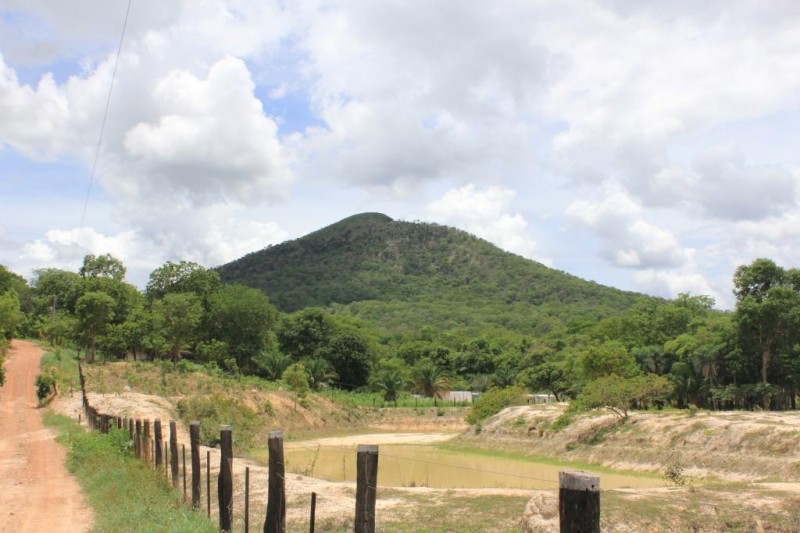 Empaer promove "Dia de Campo" em Santo Antônio do Leverger com programação diversificada