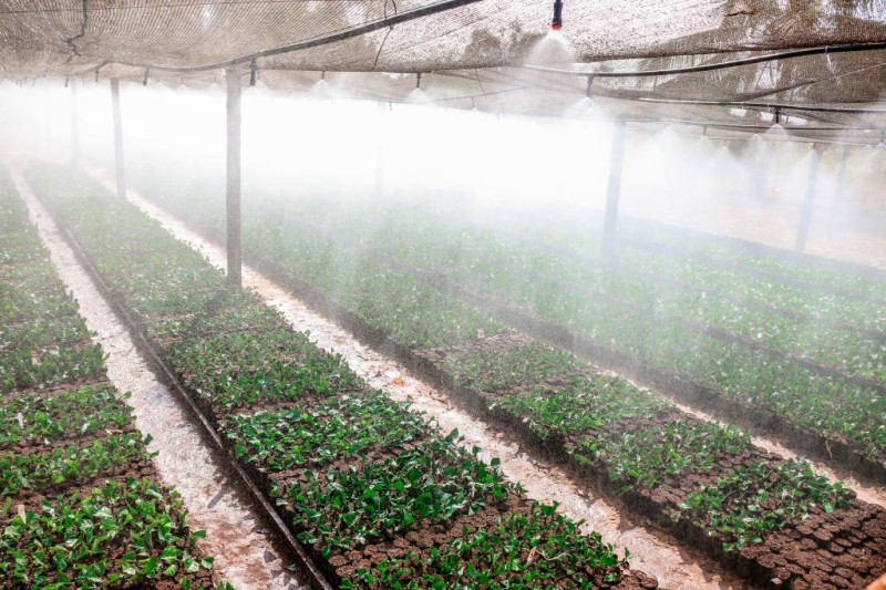 Nova regra de tributação para importação de insumos agrícolas entra em vigor em 2022