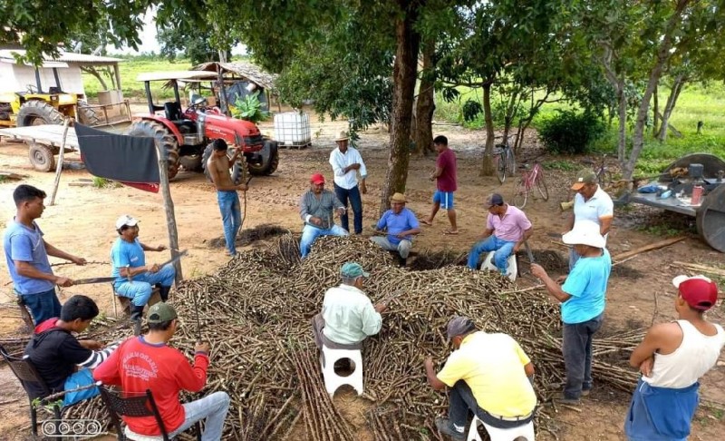 Empaer realiza projeto para produção de mandioca em aldeia indígena de Paranatinga