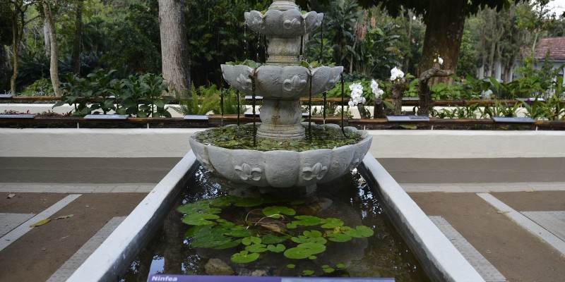 Jardim Botânico do Rio reajusta valores de ingressos